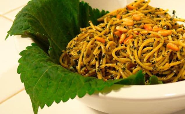 Korean Perilla Pesto
